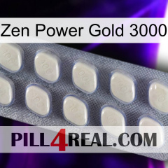 Zen Power Gold 3000 08
